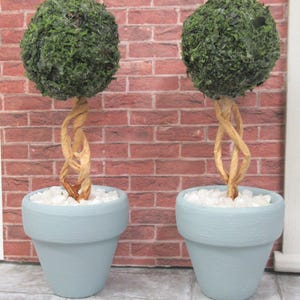 Dolls House Topiary 2 Handmade Miniature Trees in Duck Egg Blue Colour Terracotta Pots 1:12th Scale Garden Plants