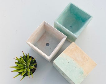 Peng’s Handmade concrete pots, for succulents (or cactus)