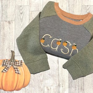 May include: A gray and green sweatshirt with a pumpkin-themed design. The word "CASH" is embroidered on the front of the sweatshirt, with each letter decorated with a small pumpkin.