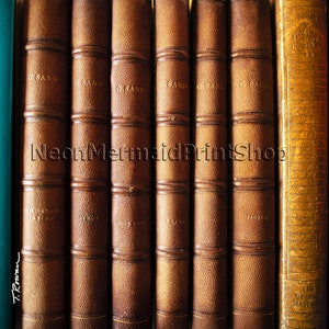 Book Spine Art,Custom Book Spine,Book Lover Librarian Gift,Book Print,Book Club,Book Photo,Library Print,Book Lovers Gift,Library Custom Art