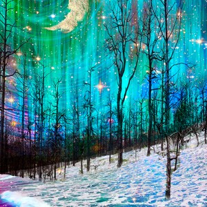May include: A digital painting of a snowy forest with a crescent moon and aurora borealis in the sky. The text "Savaha" (C) 2020 Teri Rowan is at the bottom of the image.