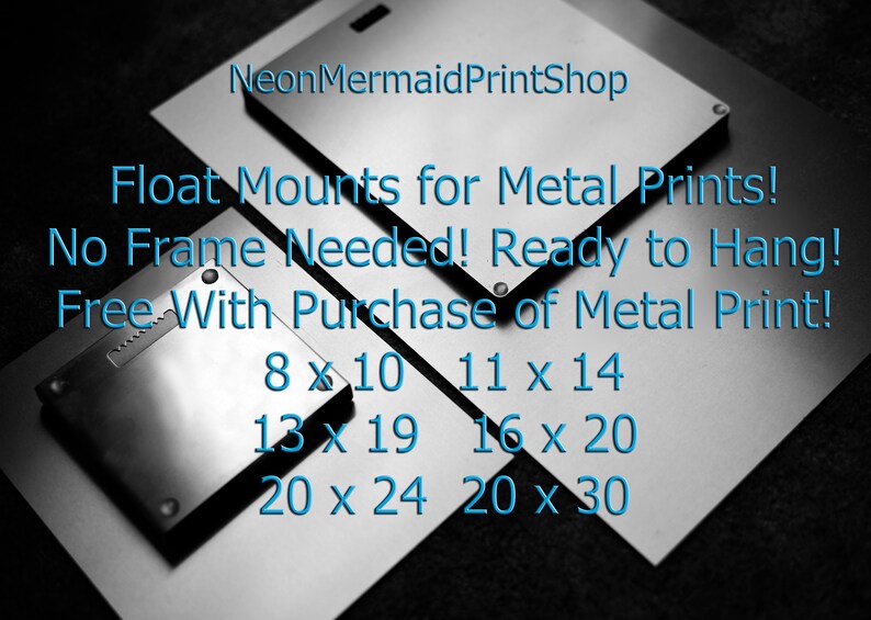 May include: Metal print float mounts in various sizes, including 8x10, 11x14, 13x19, 16x20, 20x24, and 20x30 inches.  Free with purchase of a metal print.  No frame needed! Ready to hang!