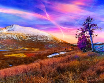 Colorful Mountain Landscape,Sunset Decor,Metal Print,Fantasy Mountain Landscape,Pastel Room Decor,Colorado Art by Teri Rowan,Mystic Sky,Pink