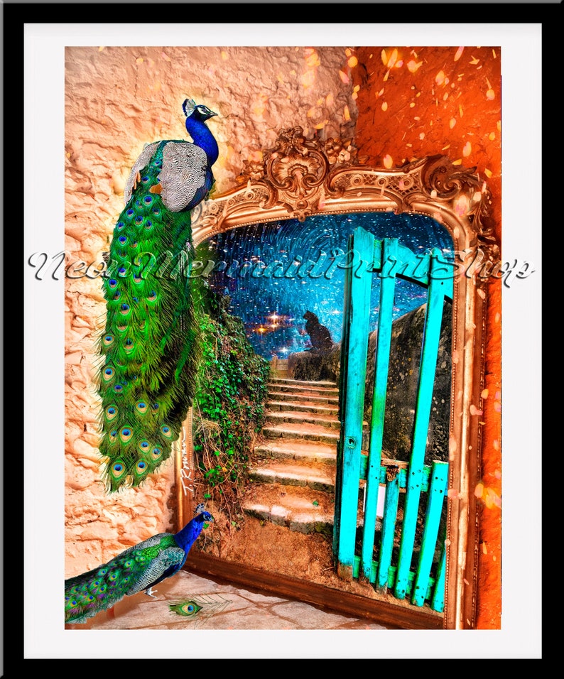 May include: Framed print with two peacocks, one perched and one standing. The image shows a mirror reflecting a starry night and a staircase, framed in gold. A turquoise gate is also visible.