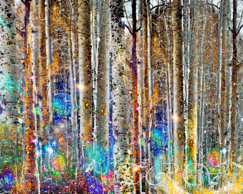 Abstract forest wall art Aspen Tree print Vivid wall decor Colorful forest Surreal Modern art Living room decor Abstract tree metal wall art image 3