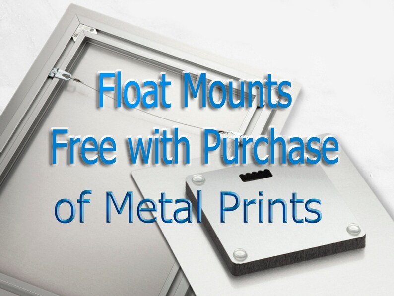 May include: A silver metal frame with a white mat and a metal print inside. The frame is hanging on a white wall. The text "Float Mounts Free with Purchase of Metal Prints" is written in blue text on the wall.