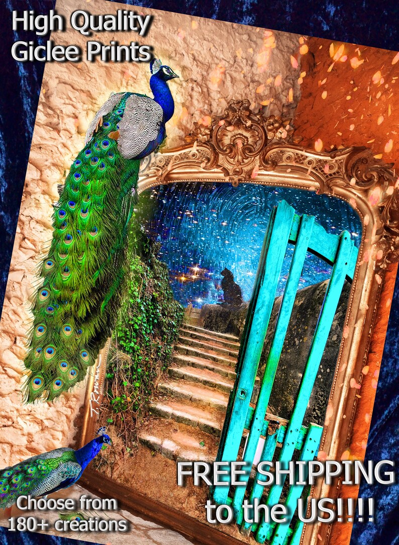 May include: A digital art print showcasing a peacock with blue, green, and white plumage. The image includes a starry night scene framed by a gold mirror and a turquoise gate. Text reads "High Quality Giclee Prints".