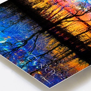 May include: A digital painting of a forest scene with a crescent moon and stars in the sky. The trees are silhouetted against a bright orange and yellow sunset. The painting is titled "Forest Dreams".