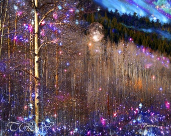 Northern Lights Aspen Tree Art: Colorado Dreamscape Giclee Print