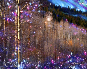 Fairytale Art,Northern Lights Landscape Giclee Prints of Trees,Aspen Tree Art,Fairytale Prints,Woodland Art,Moon Art,Celestial Metal Print