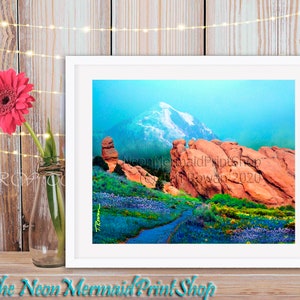 May include: A framed photograph of a mountain range with a snow-capped peak in the background. The foreground features red rock formations and a path leading through a field of wildflowers.