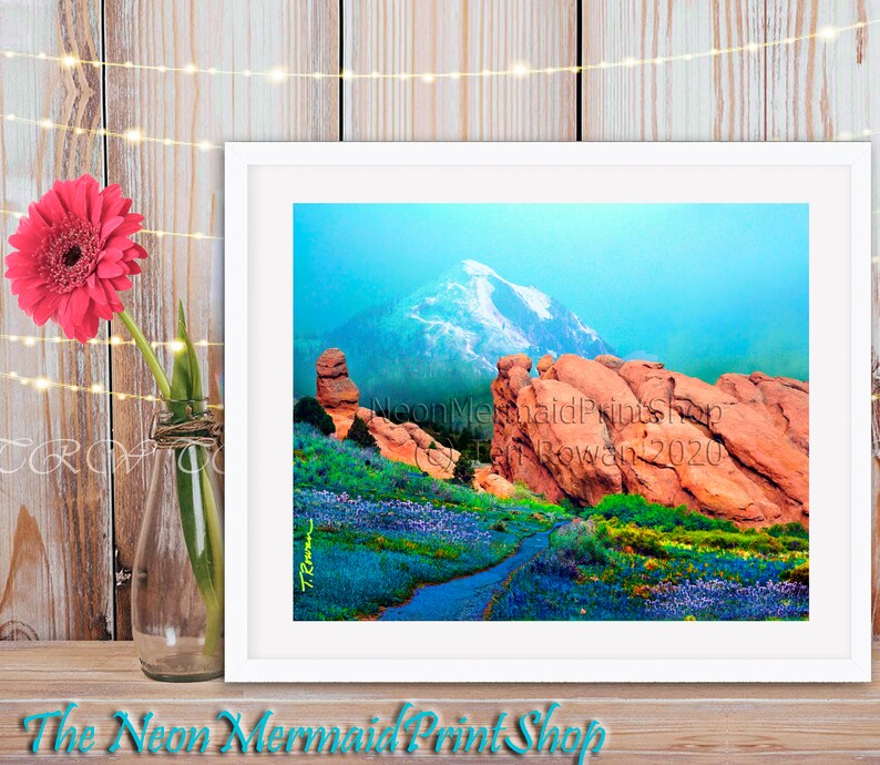 May include: A framed photograph of a mountain range with a snow-capped peak in the background. The foreground features red rock formations and a path leading through a field of wildflowers.