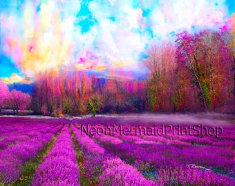 Lavender Field Giclée Print Sunset Landscape,Field of Lavender,Field of Flowers,Purple Sunset Giclee Print,Colorful French Landscape Flowers