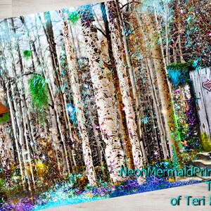 May include: A whimsical digital painting of a forest scene with a wooden outhouse, a birdhouse, and a blue bird. The trees are white with a shimmery effect, and the ground is covered in colorful flowers. The text "NeonMermaidPrintShop The Art of Teri Rowan" is at the bottom of the image.