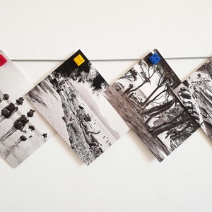May include: Five black and white photographs are hanging on a white wall with colorful plastic clips. The photos are of different scenes, including a beach with people, a forest, and a harbor.