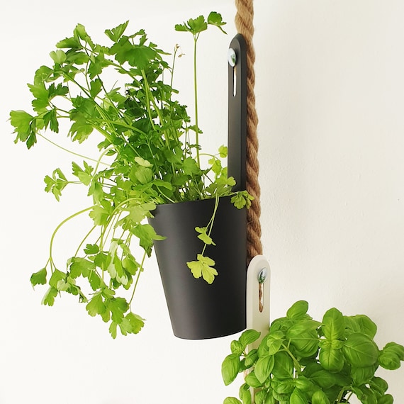 fertig bepflanzte blumenksten Balkonbox Homegrown kaufen