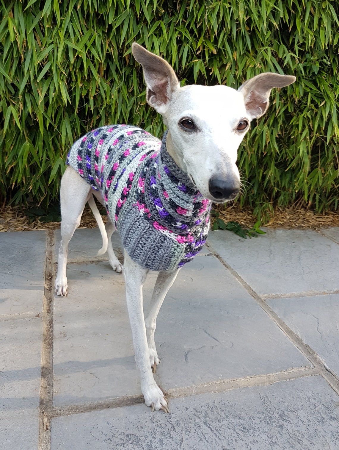 Whippet Sweater / Jumper Small Pink Purple and Grey Etsy