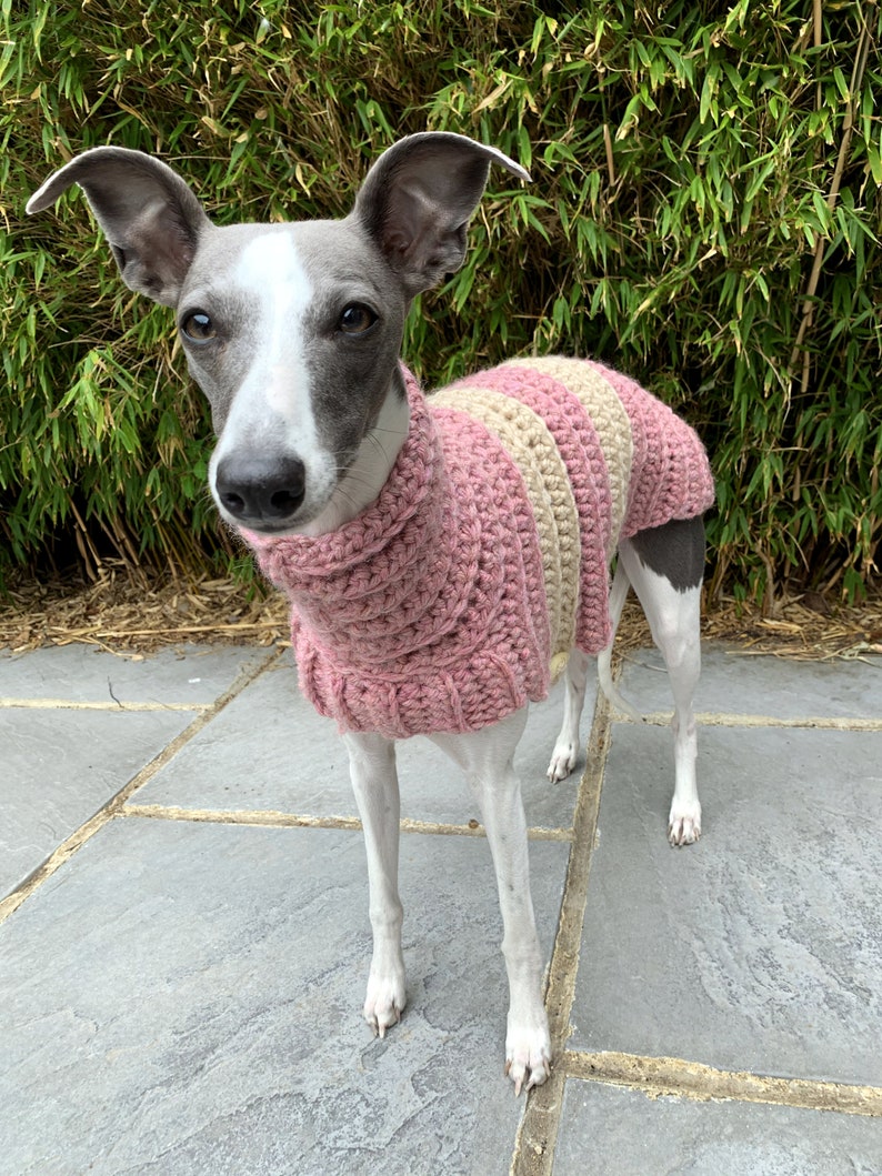 Whippet Sweater / Jumper Etsy