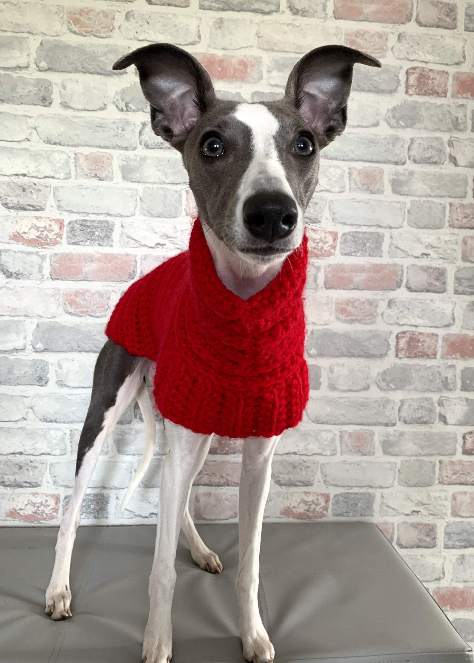 Whippet Sweater / Jumper in Red Etsy