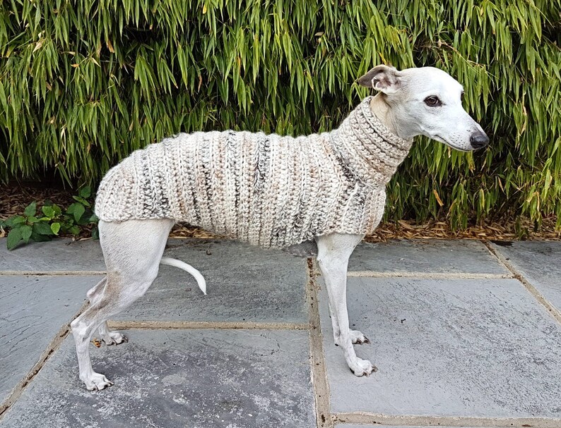 whippet sweaters