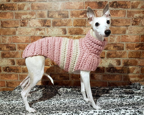 jumpers for whippets