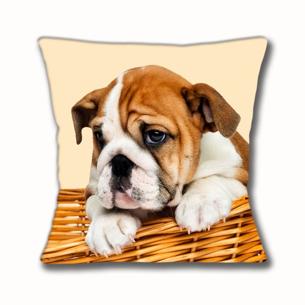 English Bulldog Puppy Cushion Cover 16 inch 40cm Cream Square Puppy In Basket Brown White Dog