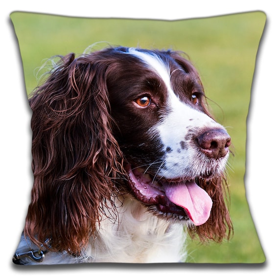 Springer Spaniel RM Breed of Dog Themed Cotton Cushion Cover Perfect Gift