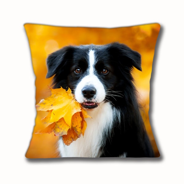 Border Collie Cushion Cover Autumn Leaves Adult Dog 16 inch 40cm, Black White Sheepdog Square Gift Idea Birthday Christmas Stocking Filler