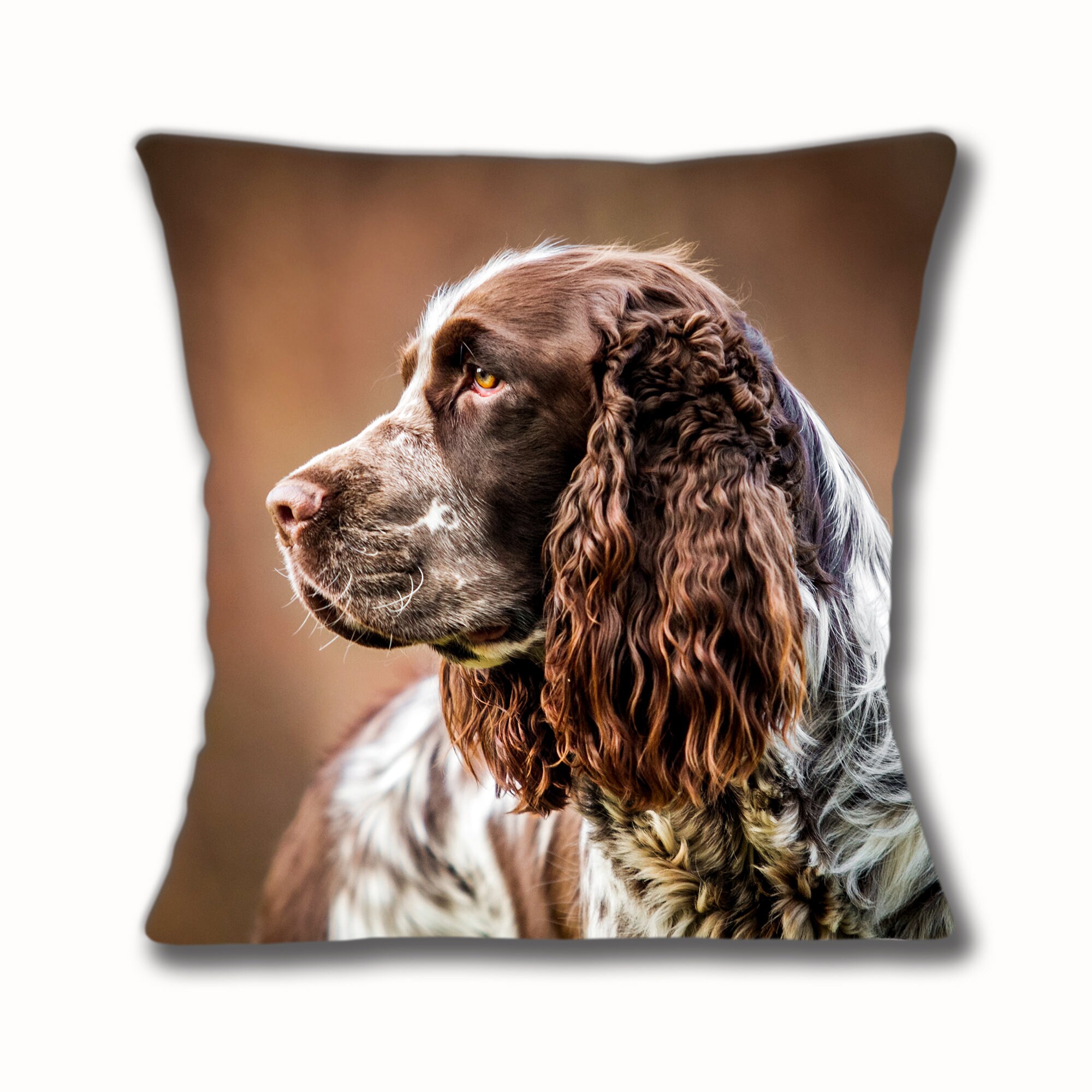 springer spaniel cushions