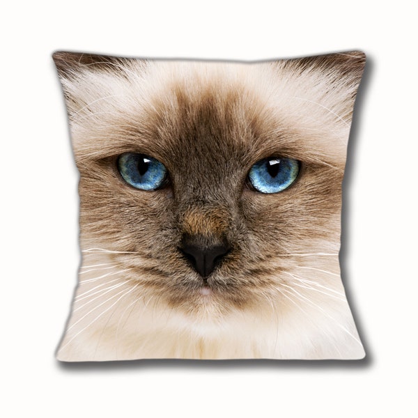 Ragdoll Cat Cushion Cover 16 inch 40cm  Square Cream Longhaired Cat Blue Eyes Face Home Decor