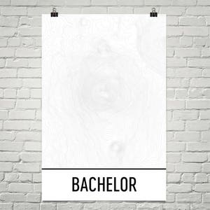 Puede incluir: Un póster blanco con un diseño de mapa topográfico. El mapa presenta líneas de contorno grises. La palabra "BACHELOR" está impresa en negrita, en letras negras, en una pancarta rectangular blanca en la parte inferior del póster.