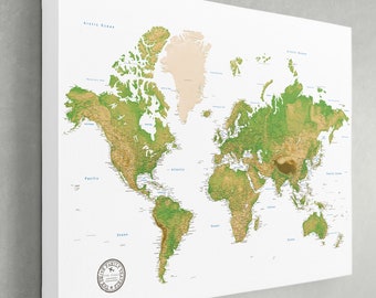 Personalized Framed World Map: Push Pin Travel Tracker