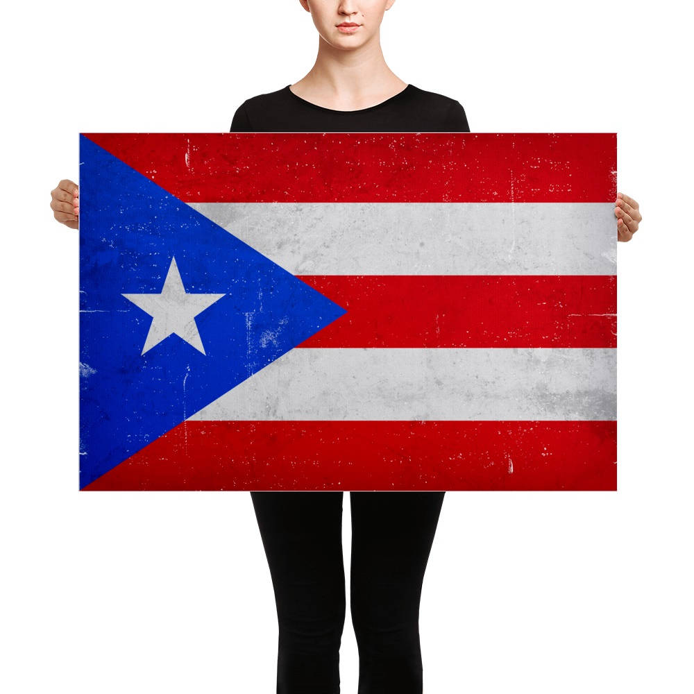 LP / M201-PR プエルトリコ国旗デザイン Amazon.com : Puerto Rico Flag 12 x 18 inch (3 PK) : Patio