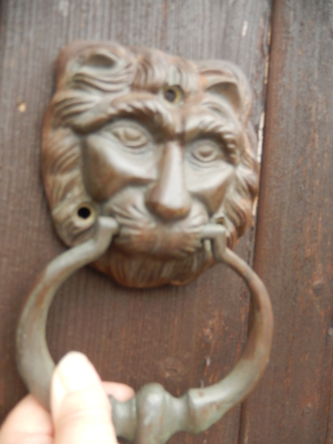 Early Victorian Door Knocker Original Lion Knocker Bronzed Etsy UK