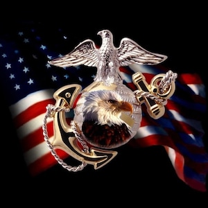 Licensed US Marine Globe and Flag