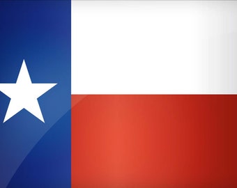 Pluma de la bandera del estado de Texas en blanco