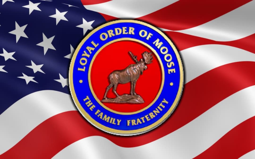 Loyal Order of Moose on US Flag - Etsy