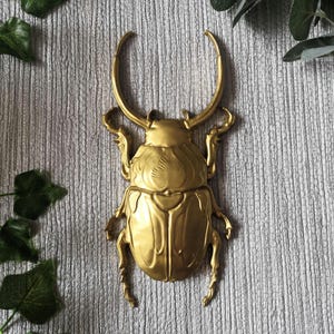 May include: A golden-colored, decorative beetle sculpture with large curved horns and detailed body segments. The beetle is mounted on a textured, gray surface, creating a striking contrast. The sculpture is a unique home decor item.