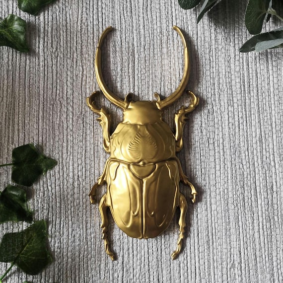 Large Beetle Wall Hanging, Bug Wall Art, Insect Wall Decor, Unusual Gift, Beetle Gift, Goth Decor, Gold Bug, Goth Wall Art, Entomology Gift
