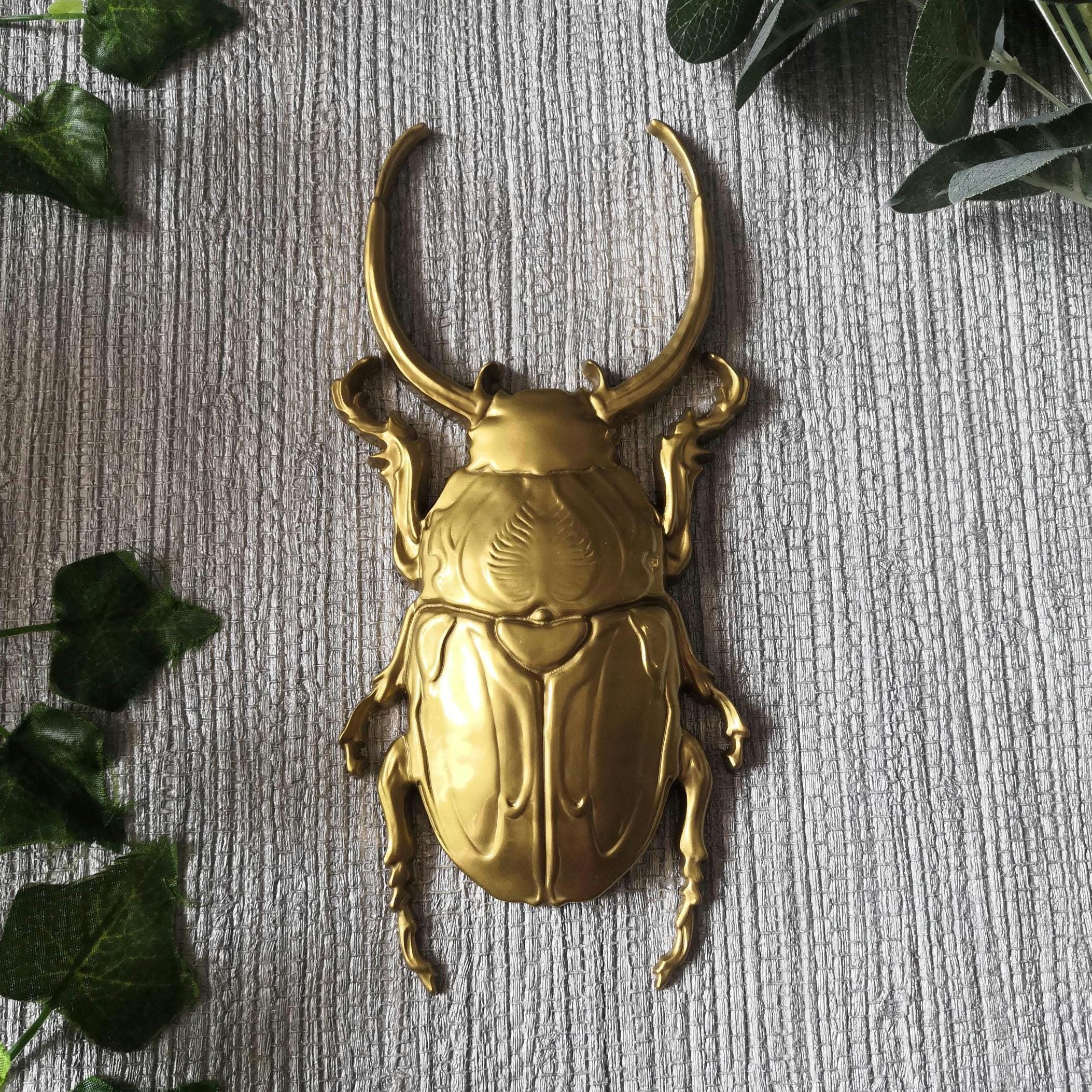 Large Beetle Wall Hanging, Bug Wall Art, Insect Wall Decor, Unusual ...
