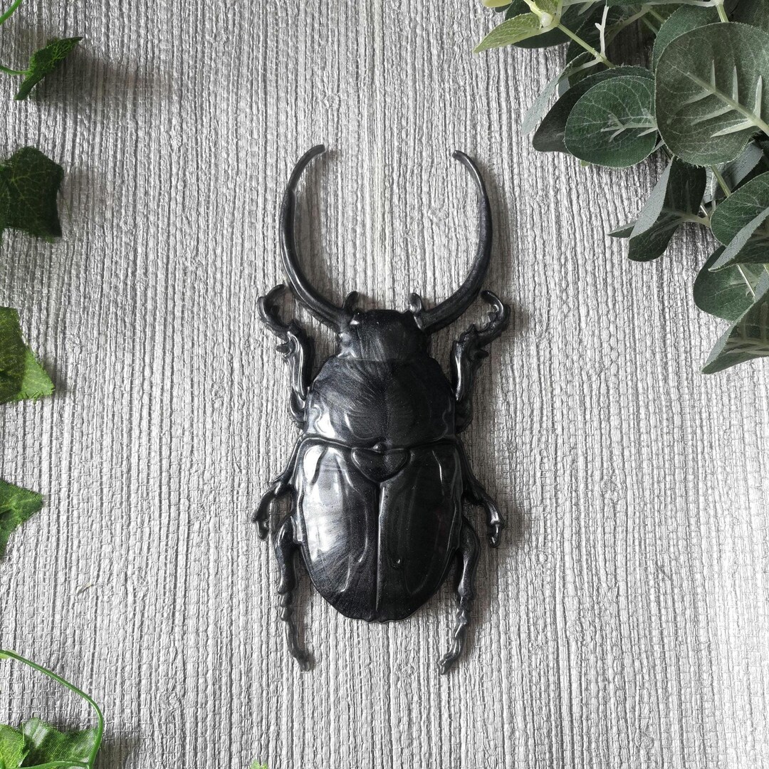 Large Beetle Wall Hanging, Bug Wall Art, Insect Wall Decor, Unusual ...