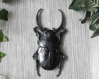 Large Beetle Wall Hanging, Bug Wall Art, Insect Wall Decor, Unusual Gift, Beetle Gift, Goth Decor, Gold Bug, Goth Wall Art, Entomology Gift