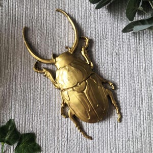 May include: A golden-colored beetle sculpture with large curved horns and detailed body segments. The decorative insect is made of metal and has a textured surface, perfect for wall decor.