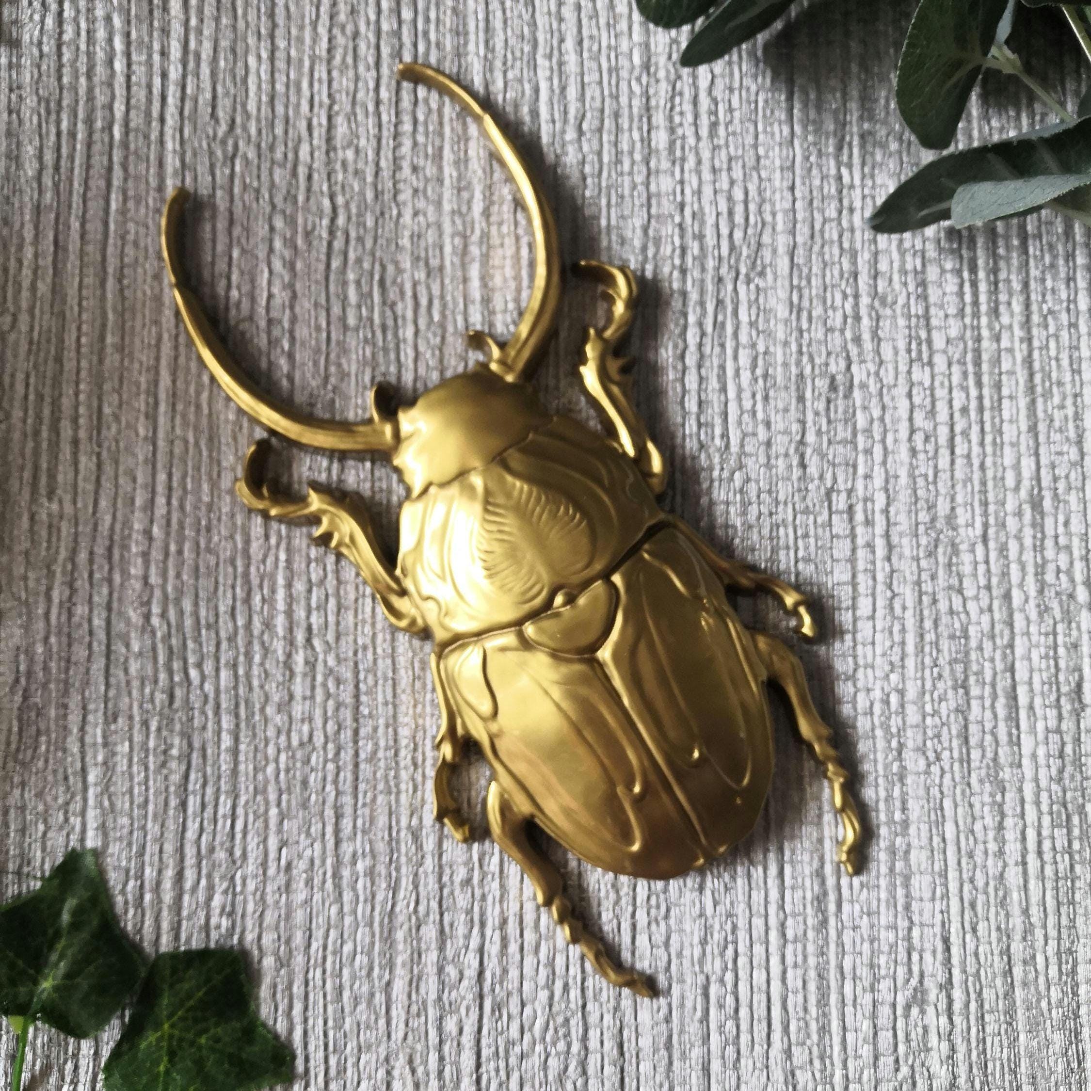 Large Beetle Wall Hanging, Bug Wall Art, Insect Wall Decor, Unusual ...