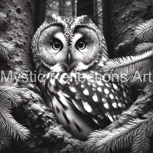 May include: A black and white photograph of an owl perched on a tree branch. The owl has large, round eyes and a spotted pattern on its feathers.