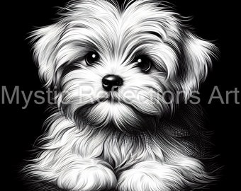 Op de afbeelding: Een zwart-witte illustratie van een kleine, pluche hond met grote, ronde ogen. De hond zit met gekruiste poten en kijkt recht naar de kijker.