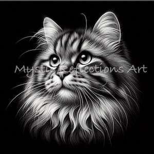 Kattlasergraveringsfil: Skifferunderlägg PNG (digital nedladdning)