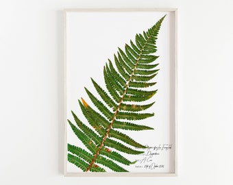 Fern Print, Fern Leaf Decor, Home Decor Idea, Botany Art, Fern Wall Art, Scaly Male Fern Specimen Print