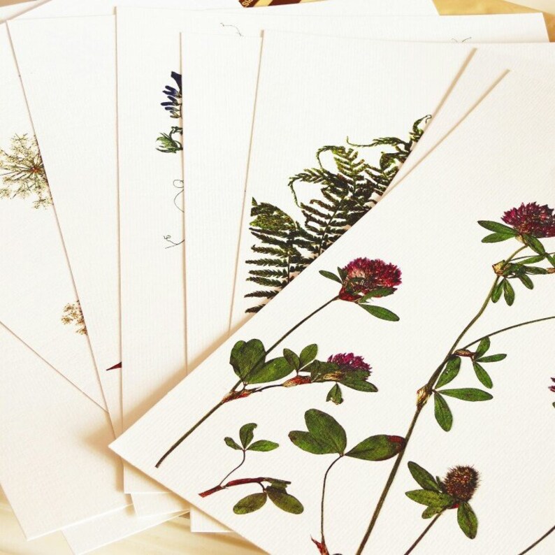 Heather flower print set Pink botanical print set Pink Etsy