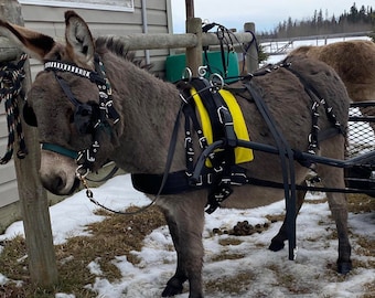 Mini Horse Driving Harness Pad